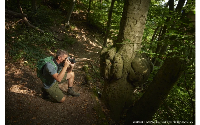 Fotoaufnahme Waldroute