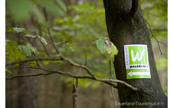 Markierungszeichen Hauptweg