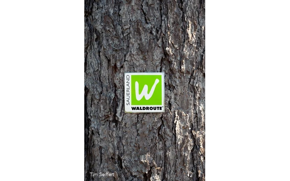 Logo SWR hochkant (c) Tim Seiffert.jpeg