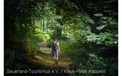 Waldweg im Hönnetal