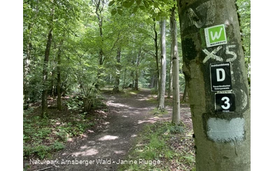 Pfad Nähe Danzturm Iserlohn