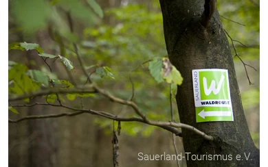 Markierungszeichen Hauptweg