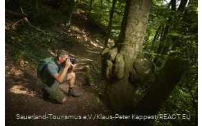 Fotoaufnahme Waldroute