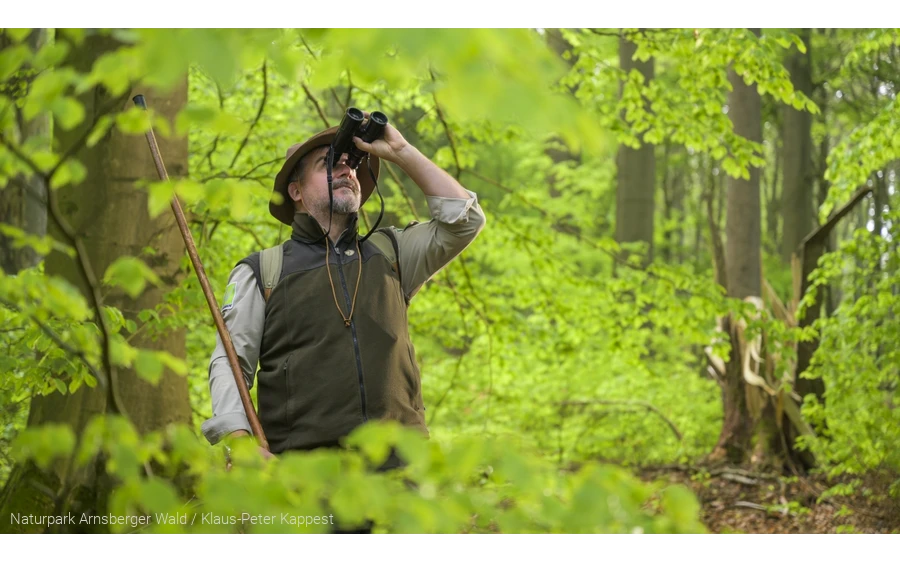 Ranger Oliver Szodruch im Laubwald