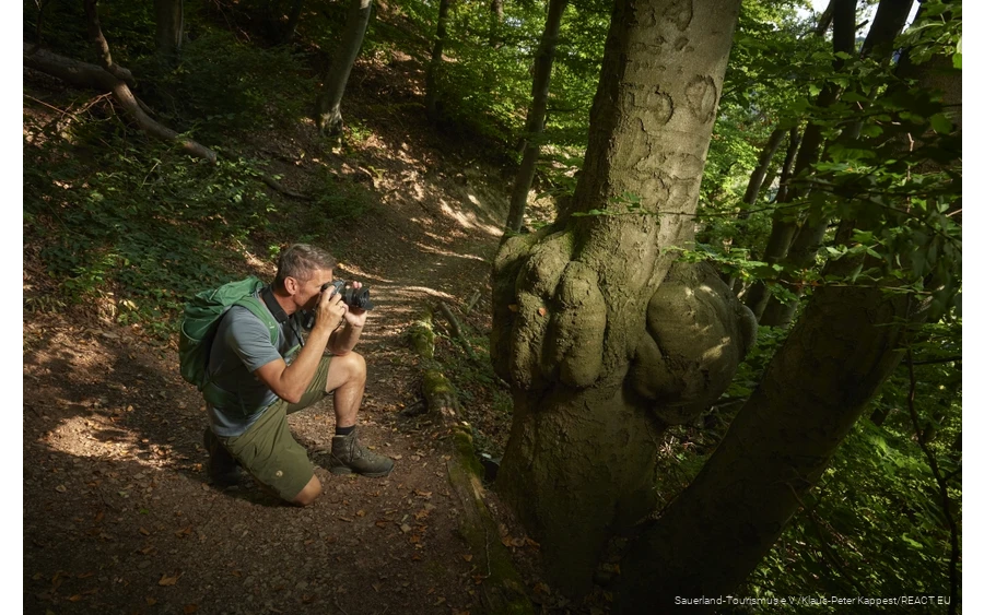 Fotoaufnahme Waldroute
