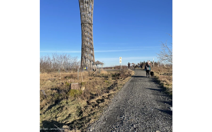 Lörmecketurm im Januar 