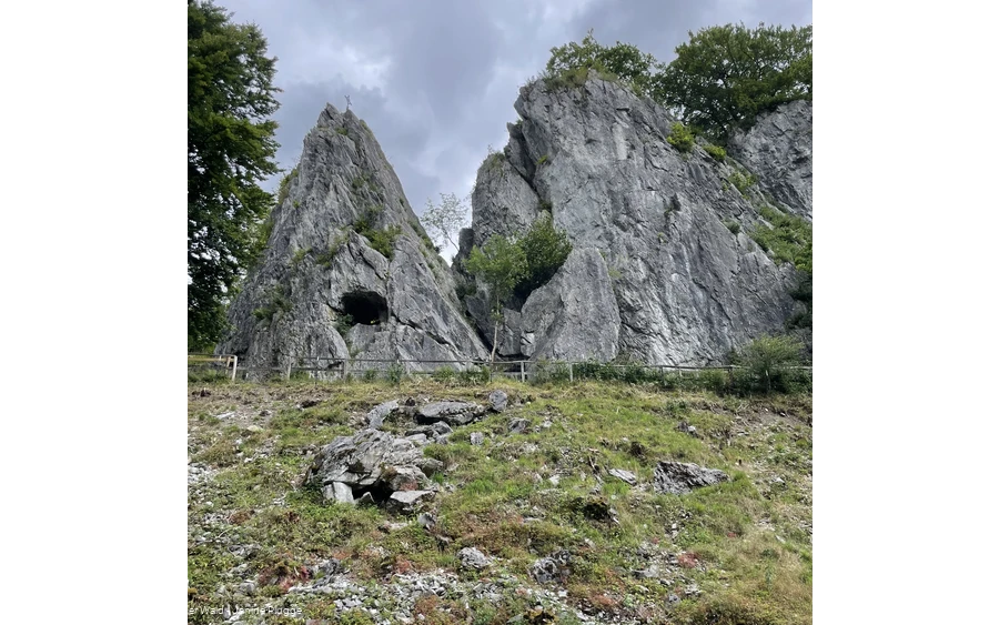 Wildpark Bilsteintal Warstein 