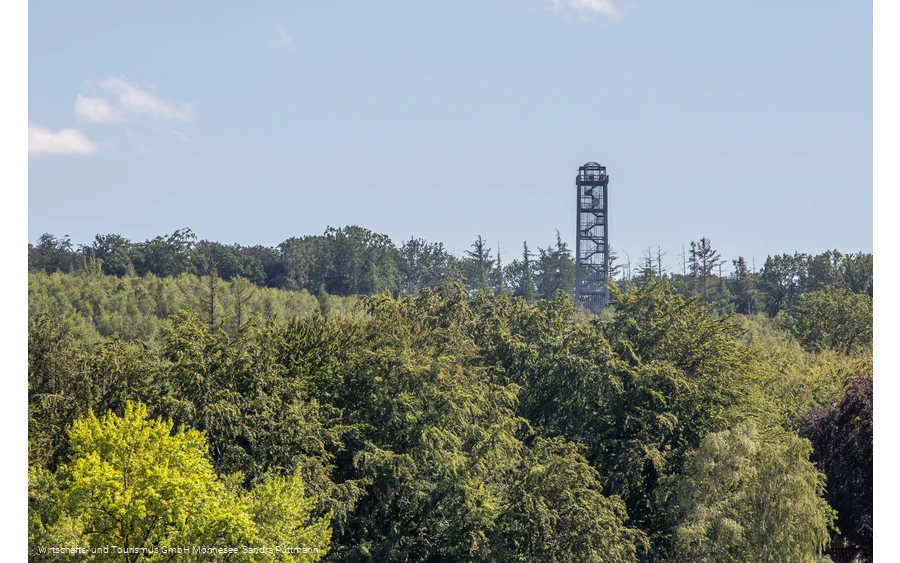 Möhnesee-Turm im Wald