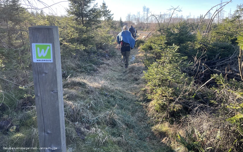 Wandergruppe im Januar auf der Sauerland-Waldroute