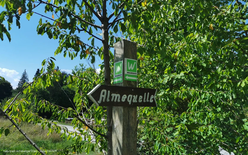 Wegweiser Brilon Almequellen - Sauerland-Waldroute