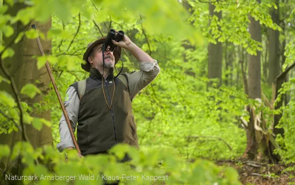 Ranger Oliver Szodruch im Laubwald