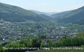 Blick auf Olsberg