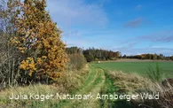 Unterwegs auf dem Waldrouten-Rundweg