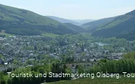 Blick auf Olsberg