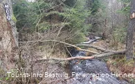 Bachlauf am E2
