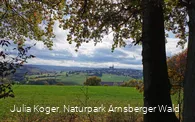 Blick auf das Bergdorf Kallenhardt