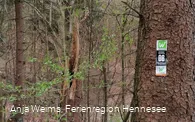 Wegmarkierungen Rundweg Steinbergruine, Sauerland Waldroute, O6