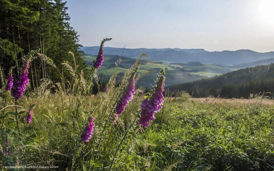 Landschaft Sauerland Landschaft Sauerland