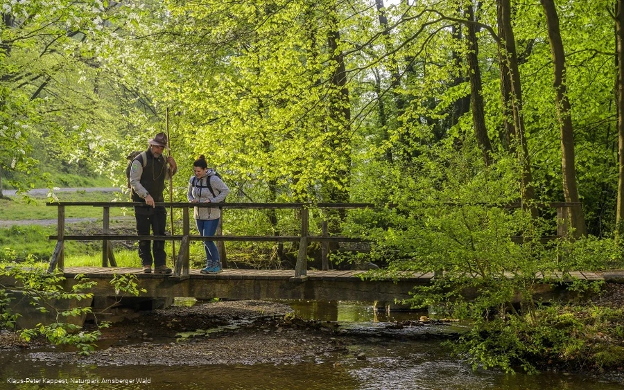 Entdeckungen auf der Sauerland-Waldroute