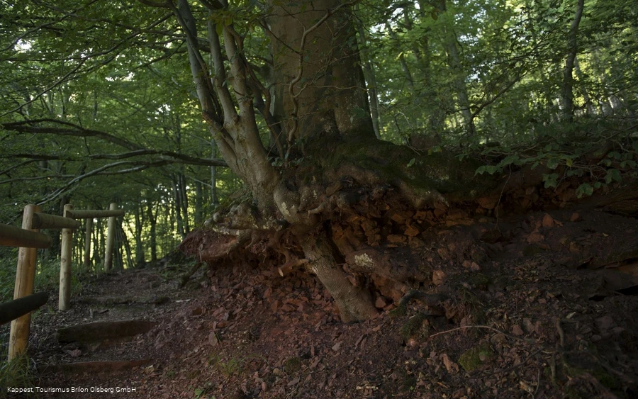 Am Eisenberg Am Eisenberg