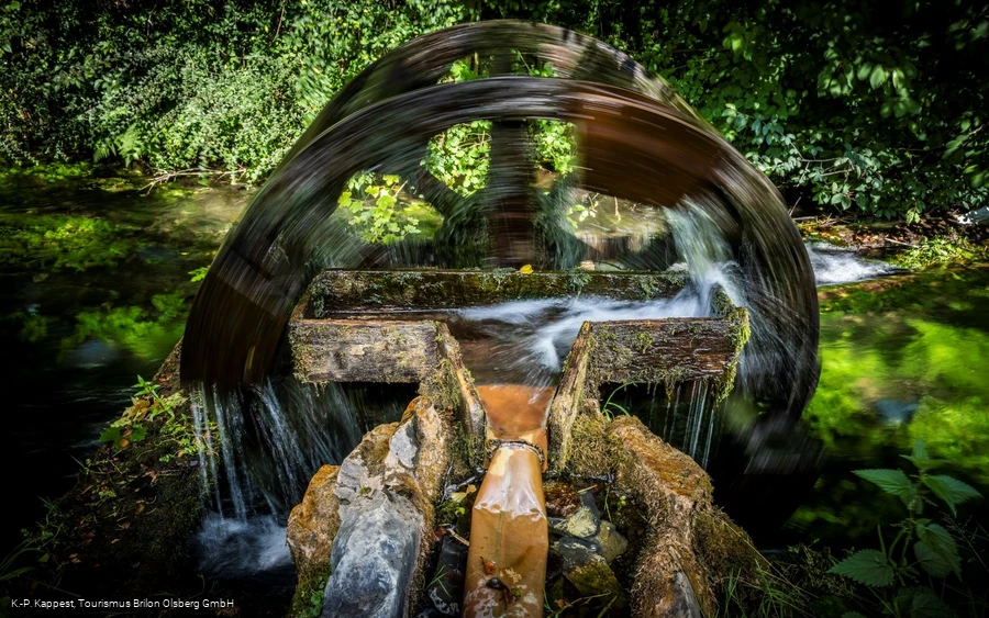 Wasserad Entenstall