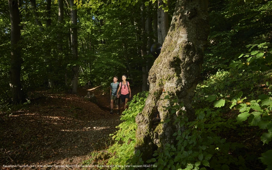 Wanderer auf der Sauerland-Waldroute