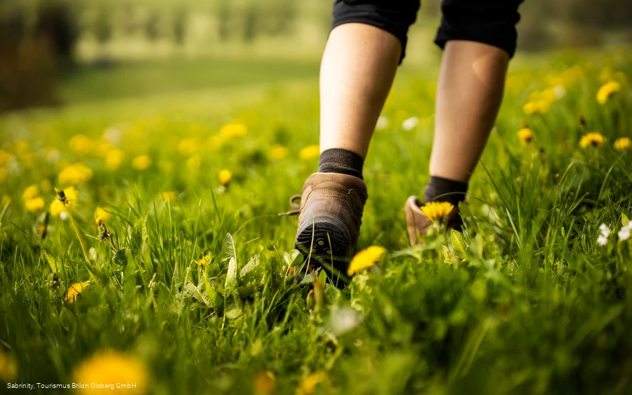 Auf geht es Auf geht es