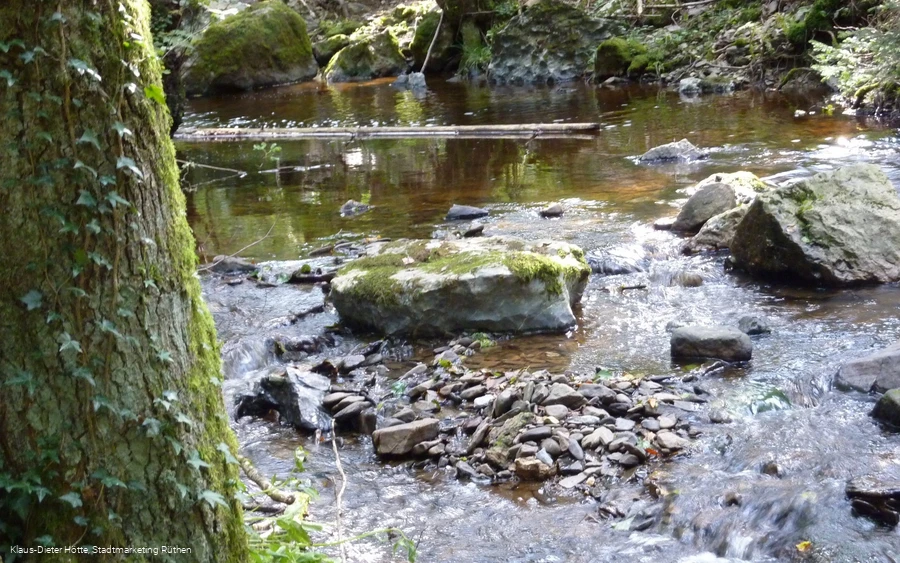 Mäandrierender Bach durch das NSG Lörmecketal