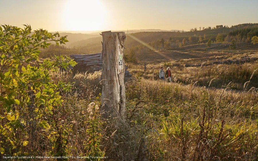 Sonnenuntergang auf dem Ochsenkopf zwischen Sundern und Arnsberg