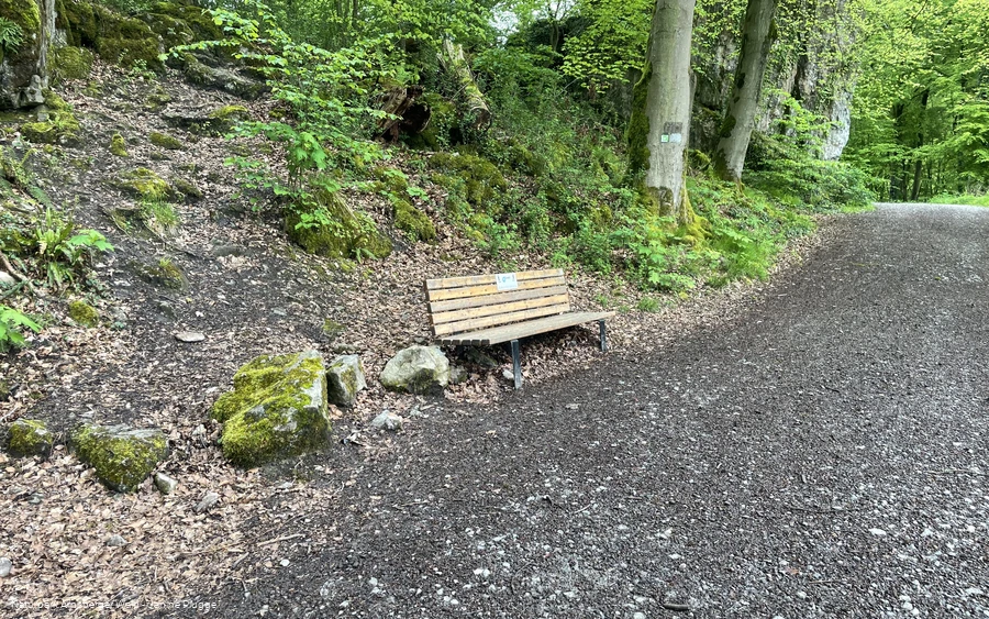 2024-05-07 Hönnetal SWR Feldhofhöhle (c) Janine Plugge (22).jpeg