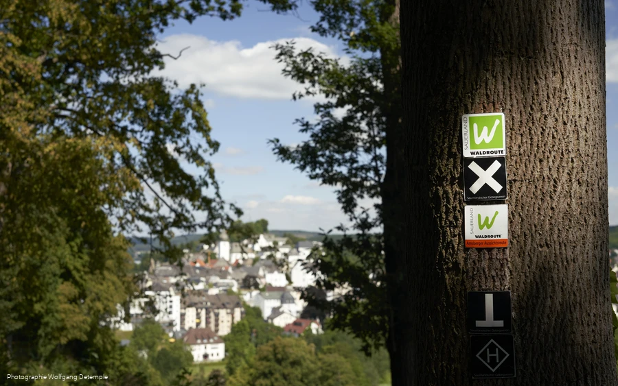 Wandern um Arnsberg Fotograf. W. Detemple klein.jpg
