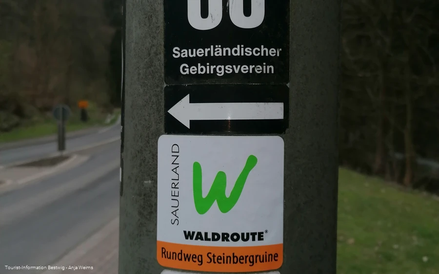 Wegmarkierung Rundweg Steinbergruine 2021 (Anja Weims).jpg