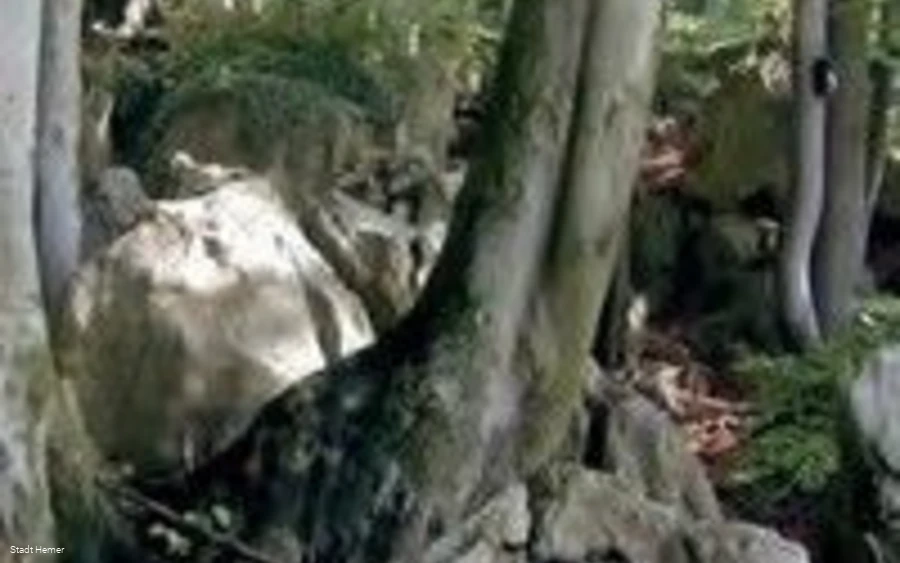 Blick ins Felsenmeer