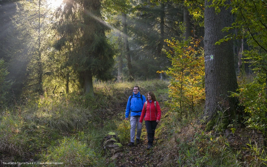 Auf der Sauerland-Waldroute am Möhnesee