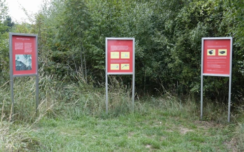 Screenshot 2024-09-26 at 09-03-29 roemerlagerdsc0689.jpg (JPEG-Grafik 1204 × 903 Pixel).png