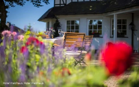 Biergarten Hotel Waldhaus