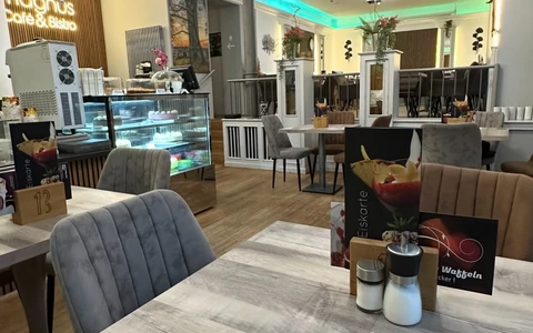 Magnus Cafe 2023.jpg