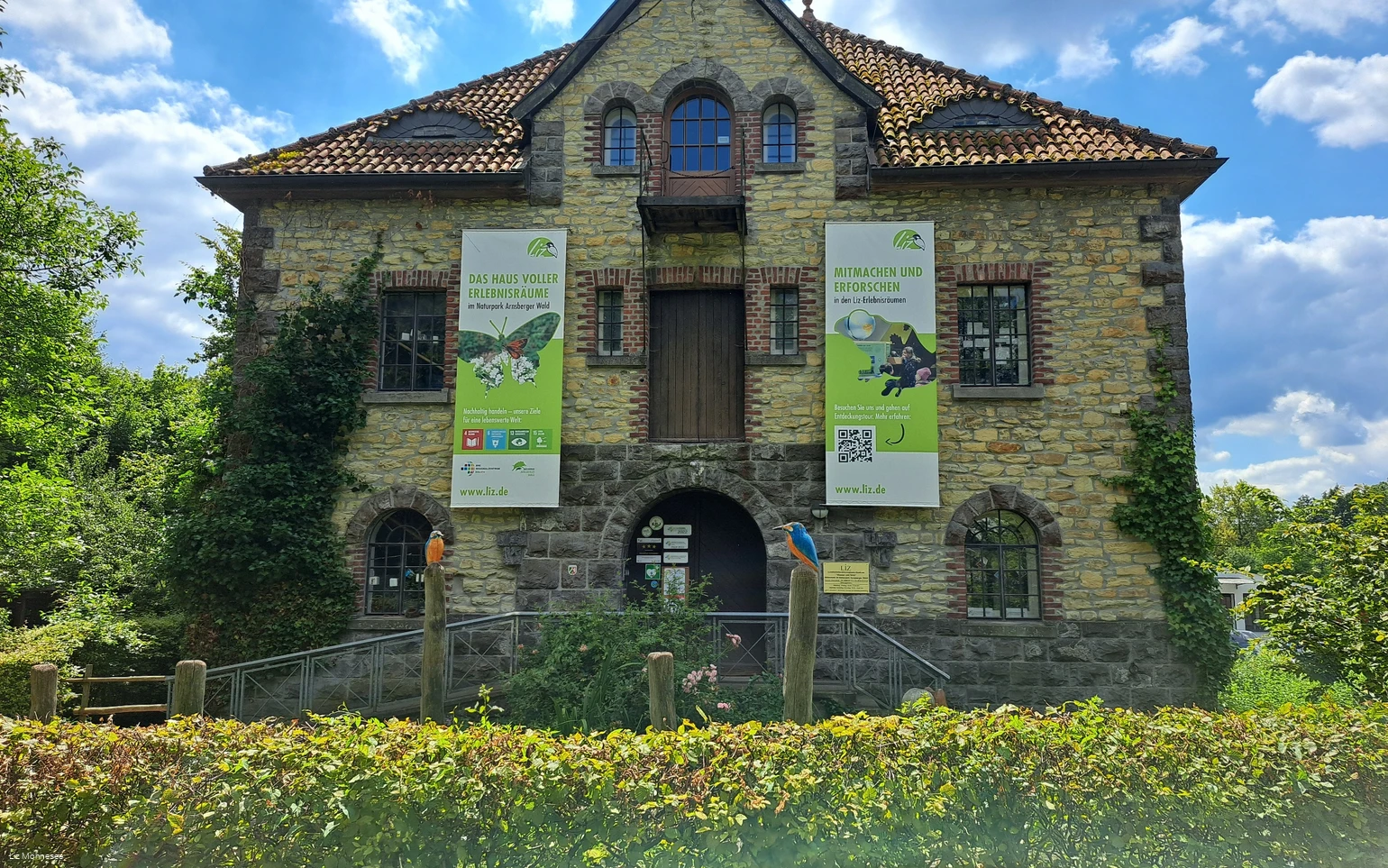 Liz (c) Liz Möhnesee.jpg