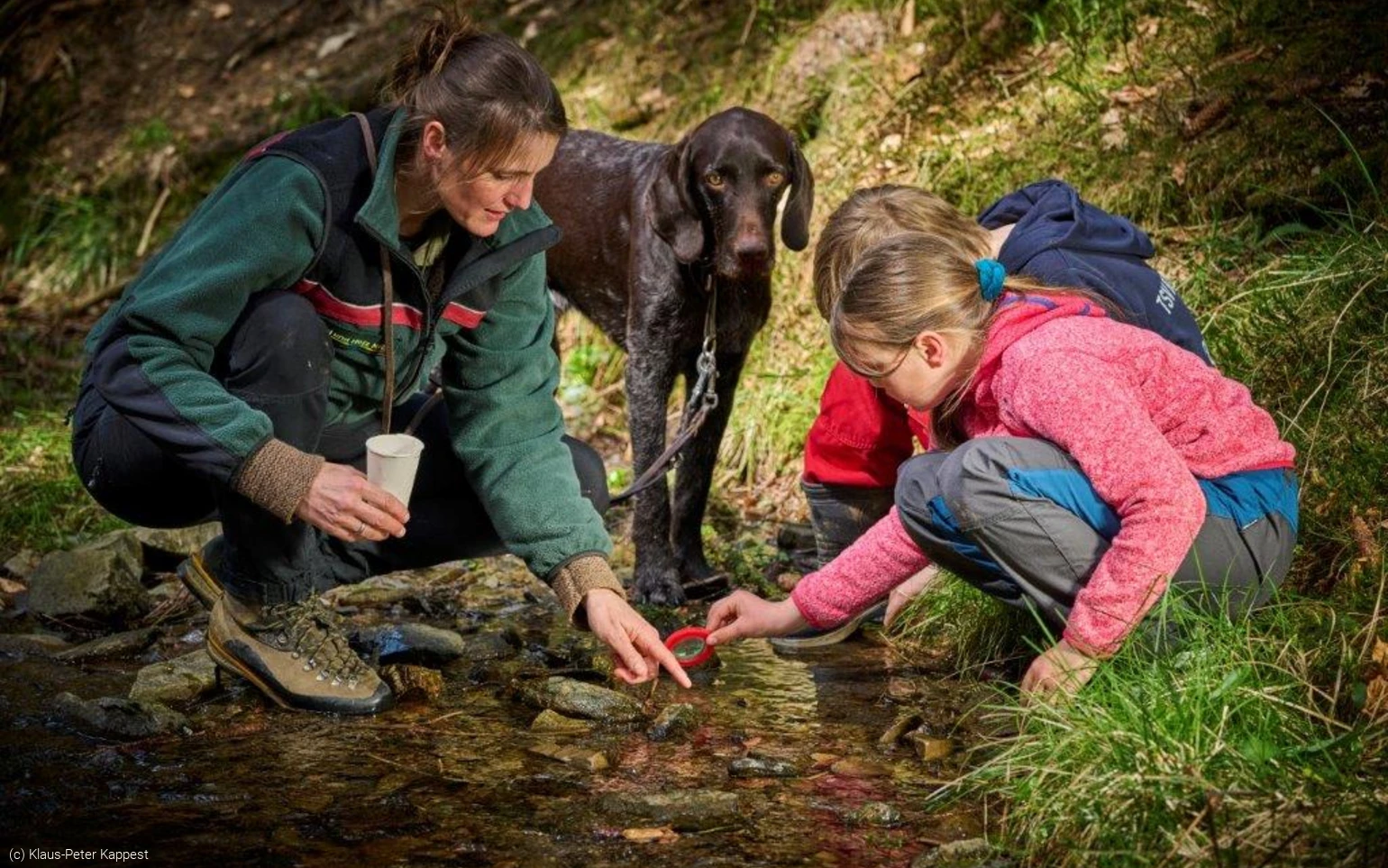 BNE Ranger Südwestfalen (c) Klaus-Peter Kappest.jpg