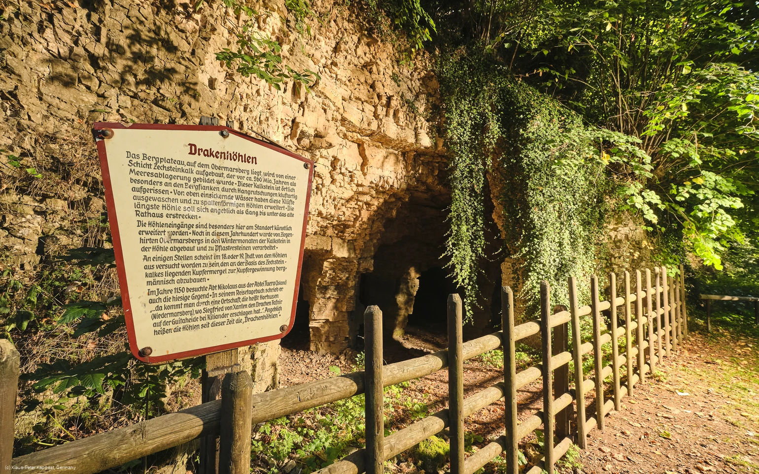 Obermarsberg Wald