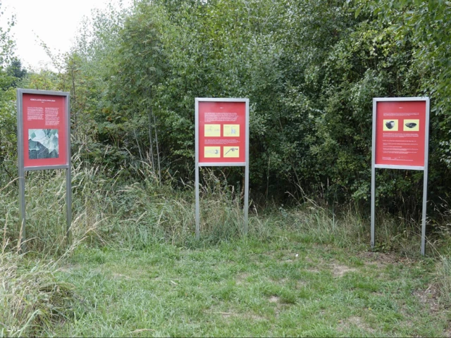 Screenshot 2024-09-26 at 09-03-29 roemerlagerdsc0689.jpg (JPEG-Grafik 1204 × 903 Pixel).png