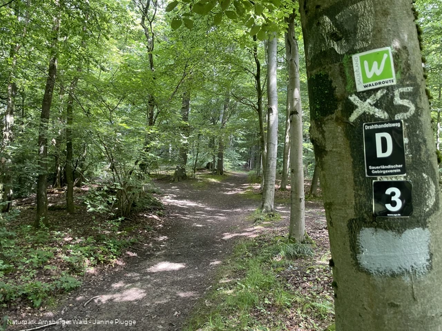 Pfad Nähe Danzturm Iserlohn