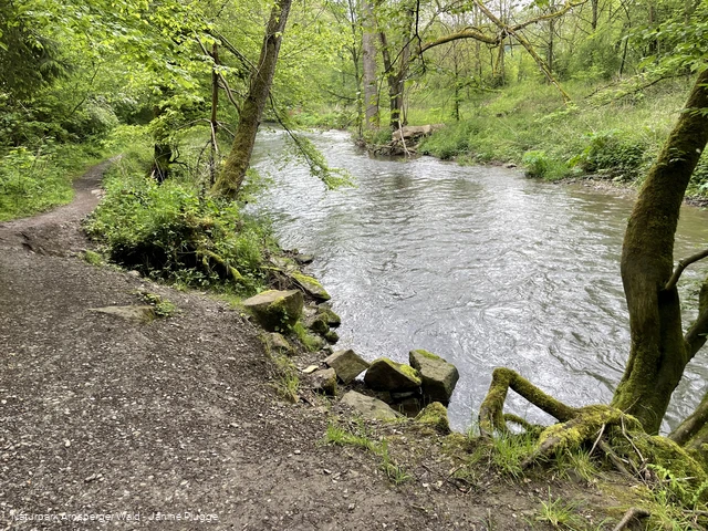 2024-05-07 Hönnetal SWR Feldhofhöhle (c) Janine Plugge (14).jpeg