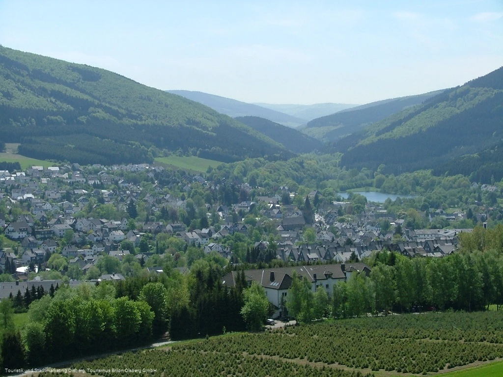 Blick auf Olsberg