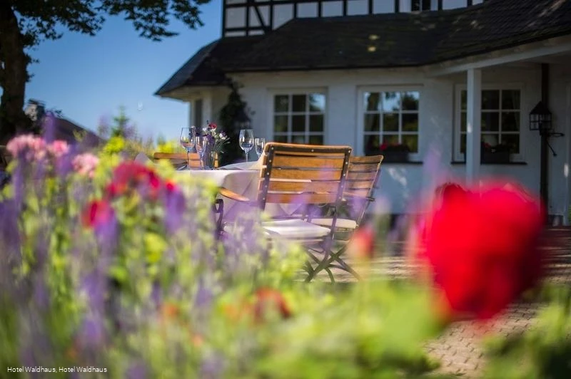 Biergarten Hotel Waldhaus