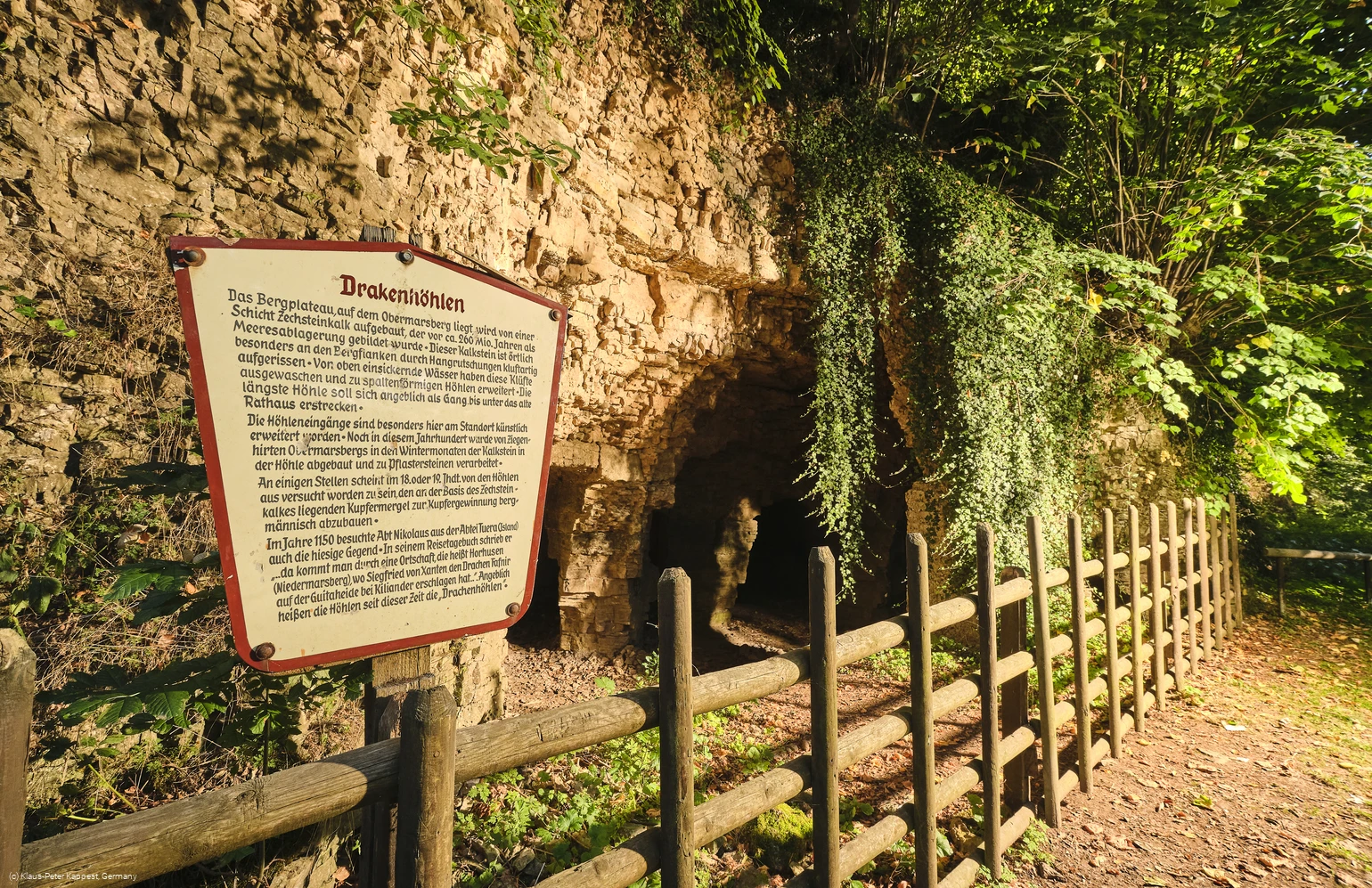 Obermarsberg Wald