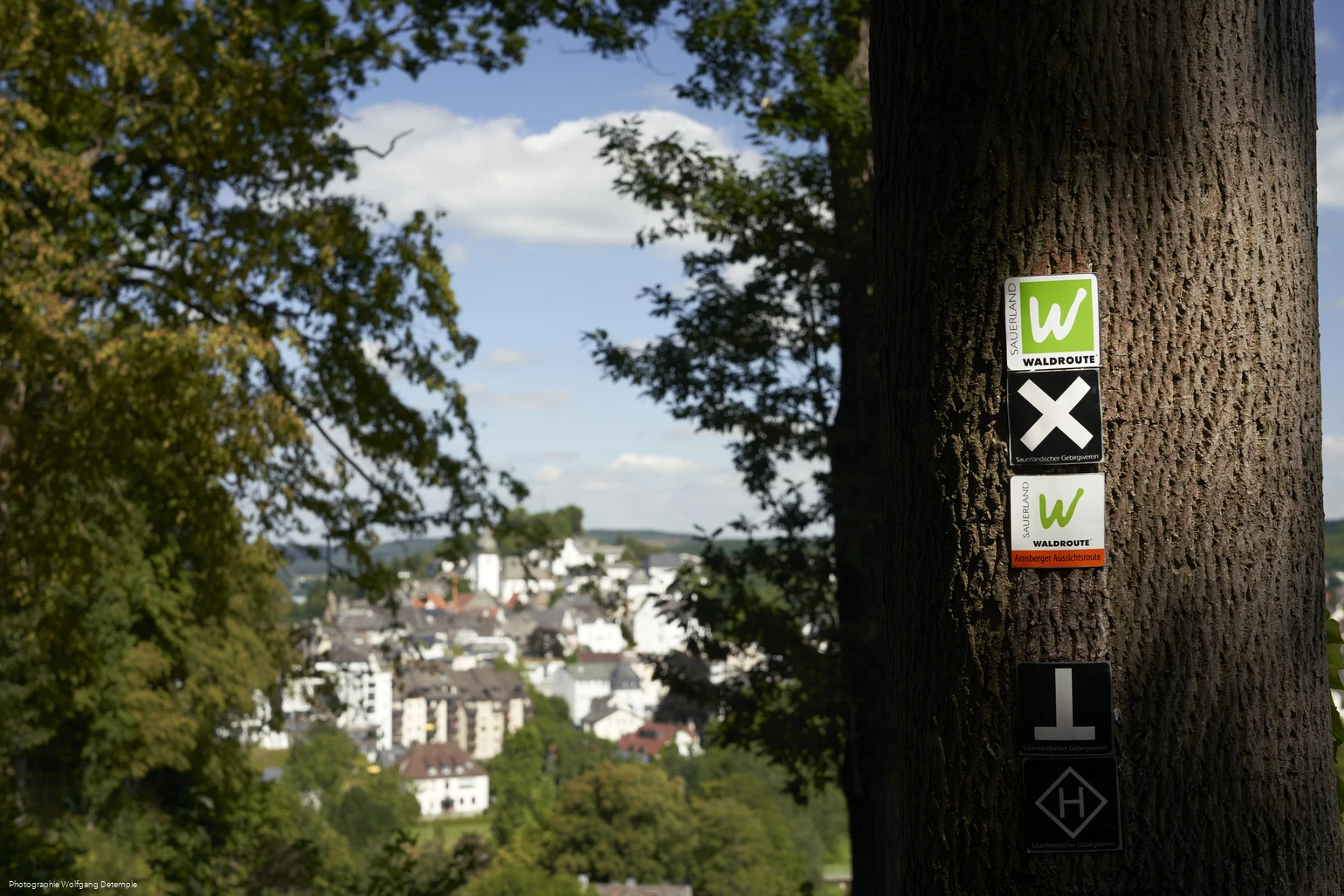 Wandern um Arnsberg Fotograf. W. Detemple klein.jpg