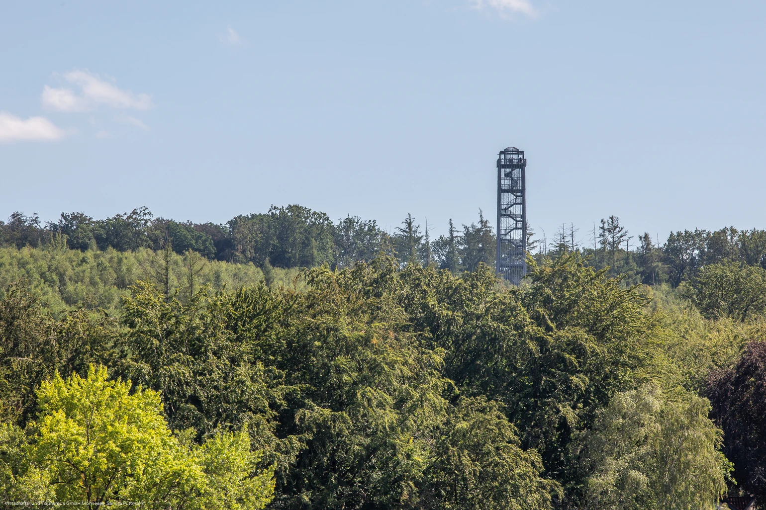 Möhnesee-Turm im Wald