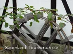 Wasserrad im Außenbereich