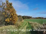 Unterwegs auf dem Waldrouten-Rundweg